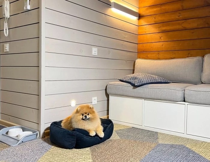 Pet Townhouse FAMILIA - Отель LES Art Resort / Лес Арт Резорт